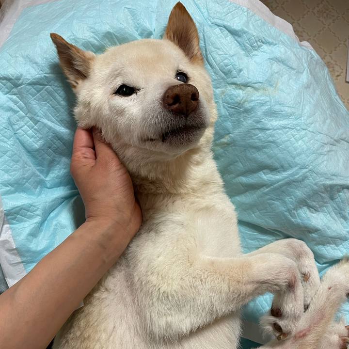 57555133 5013 4f0d 87db 88848d0ef142 1679636054179