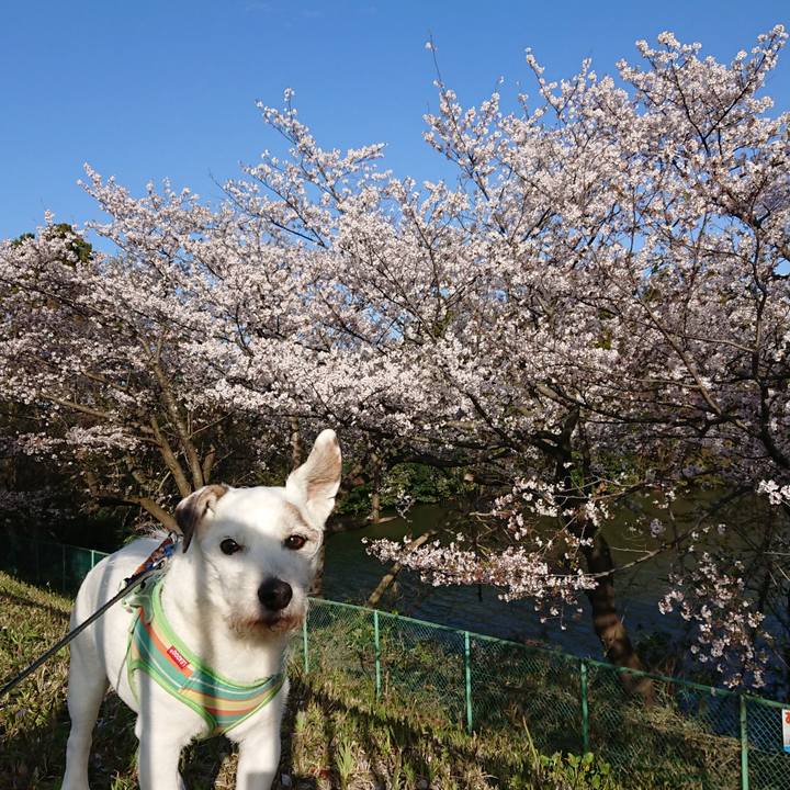 5755527c b248 4feb 89d5 1976aa36fa4a 1585783171453