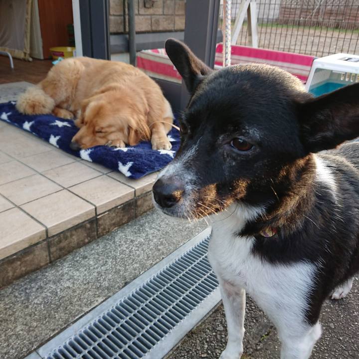 57556f88 10b9 417a b1cd 32db60eaeb55 1541413396433