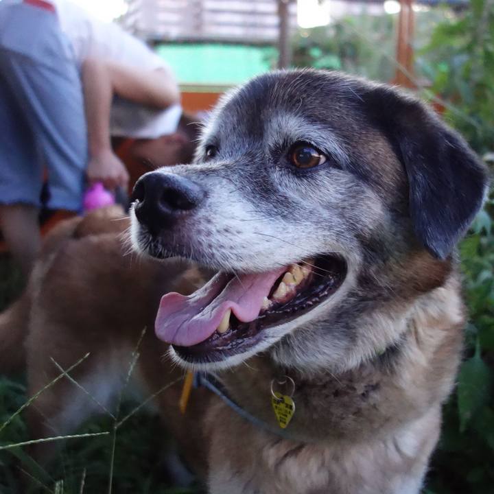 5755a6a2 5bea 4dab 8c31 0fd670169466 1565434387618