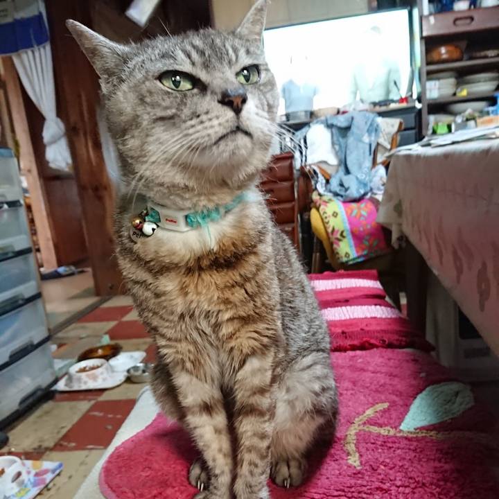 5755a721 4bd8 4cf8 b924 03a2a82e2526 1566251389355