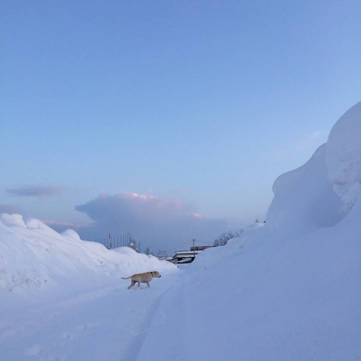 5755fbc5 ce87 44c3 9b6c 50f7995d097a 1578410478292