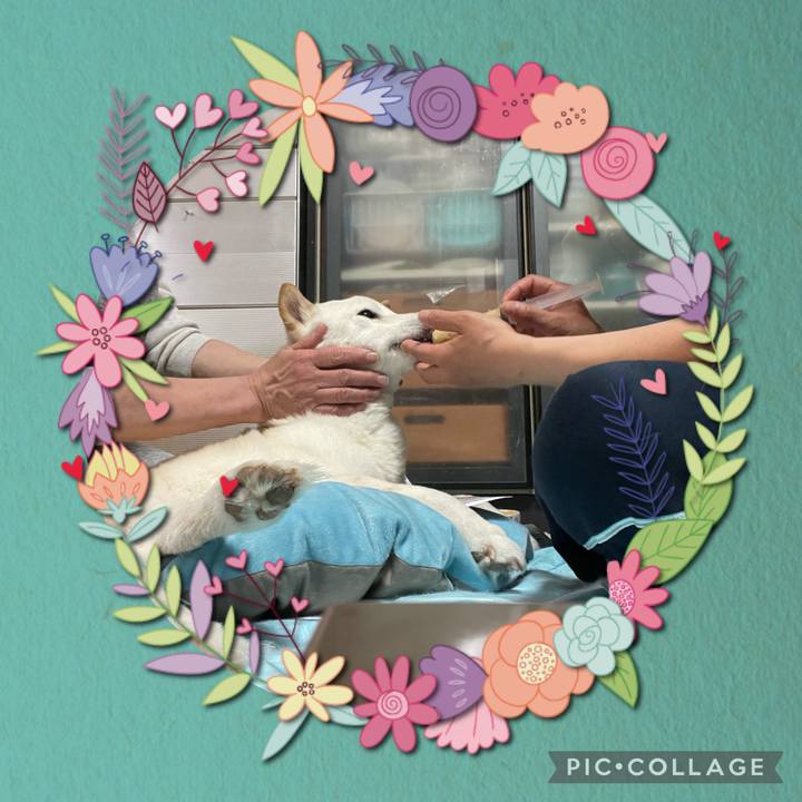 57560c23 9df7 40db a540 3ac6f8b32a3b 1647615199812