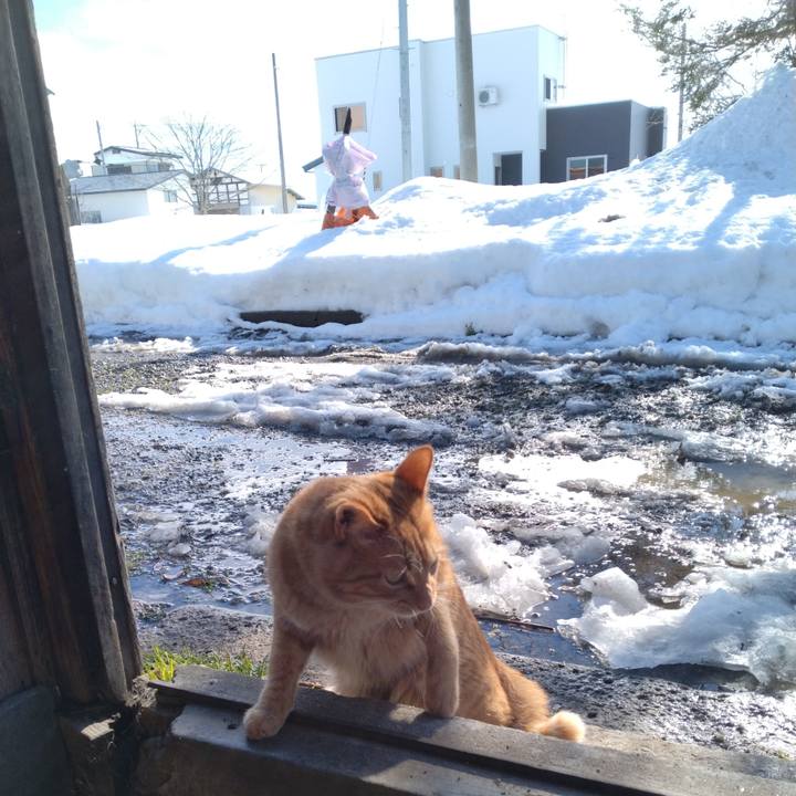 575615a9 0710 42e9 93e1 6e76e0f00ba2 1672108350160