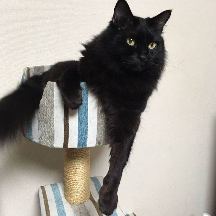 57562e5b afd8 4ad5 b922 d1147e041dfa 1513670692281