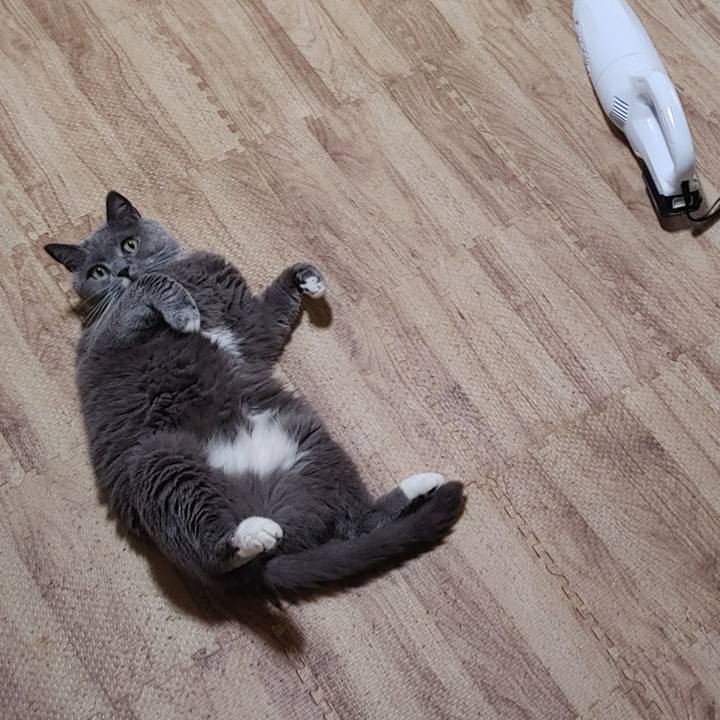 5756634d 8653 492a 8ce6 dbfb2374512d 1724063535667