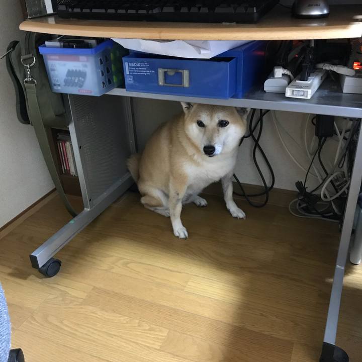 5756899a 38cc 4e36 9a2e 0d2d07e6ba96 1513665415375