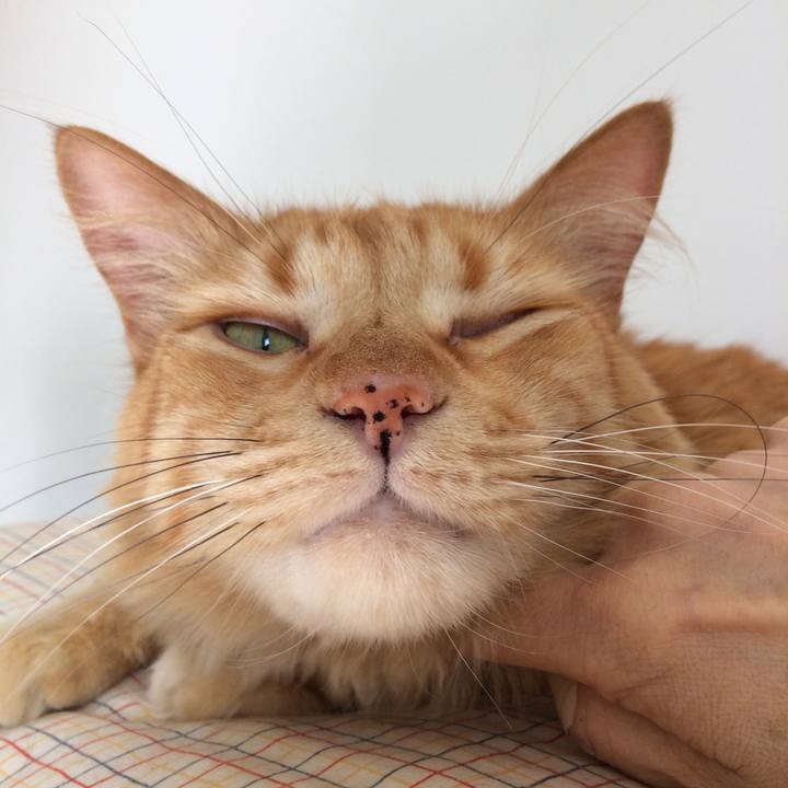 5756bd96 8527 4caf 8761 5e1d590e51ee 1548706512024