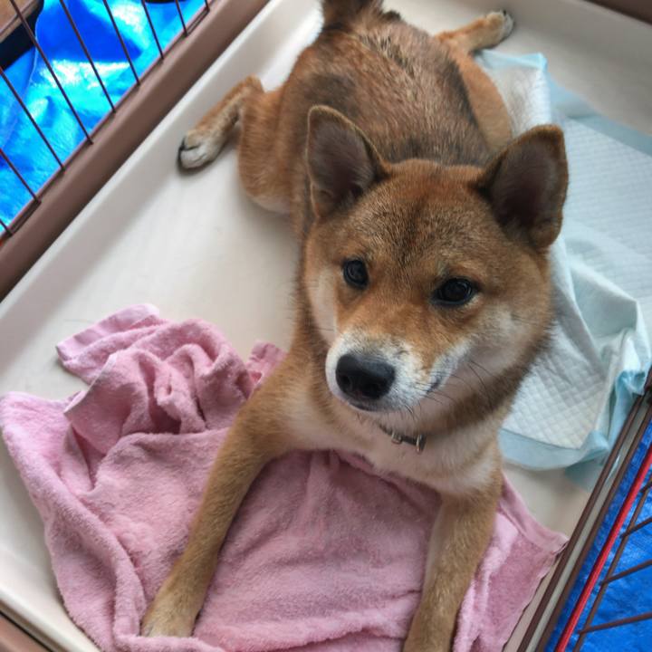 5756c769 b1fe 4e07 8cdf 80179839cfc2 1536035694351