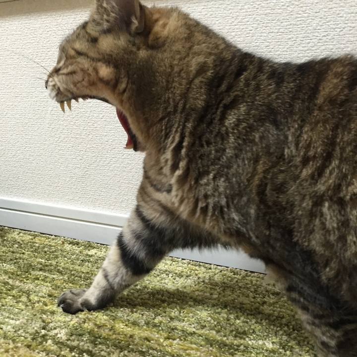 57570464 6711 4646 b0b9 4856ff9dcdd1 1697464274439