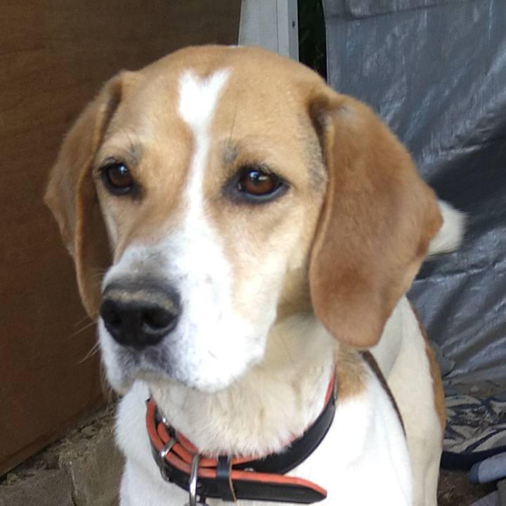 57571983 2249 4d8a 96bf 0339ee1f8896 1622343279614