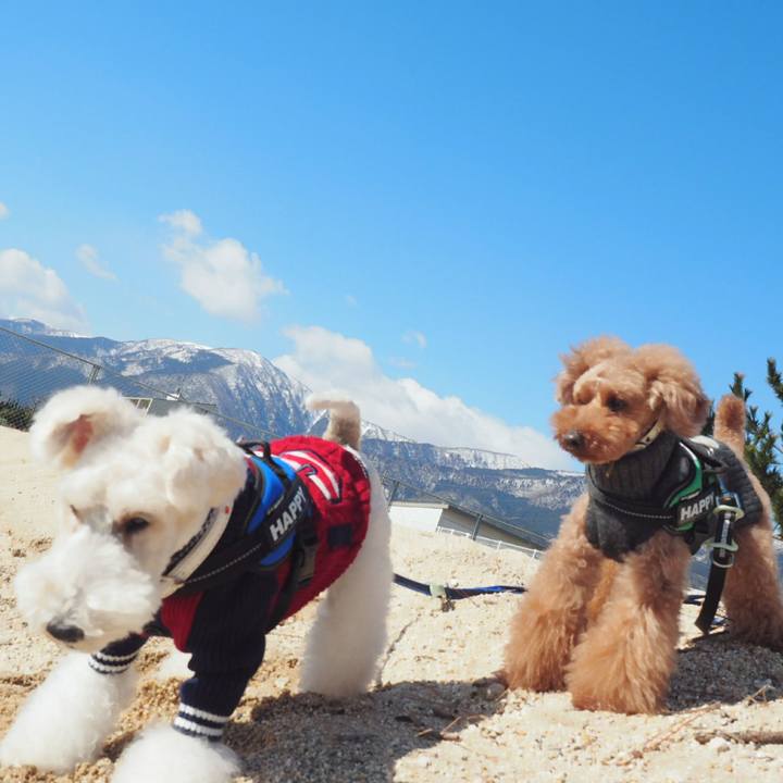 57573070 7643 4e2e 9566 9ac665b64303 1518437339803