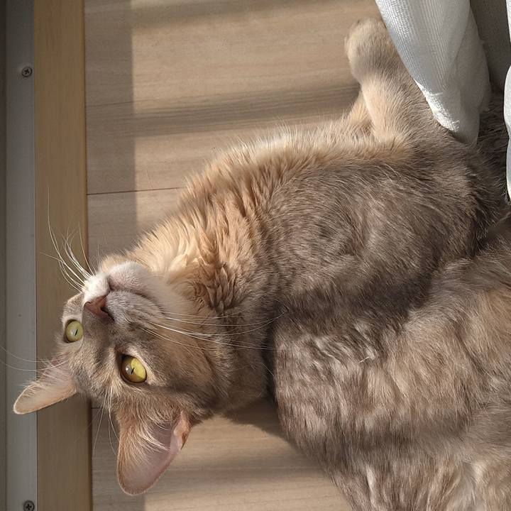 57576158 c1c8 4ff5 8acd 487ee7855436 1607745567365