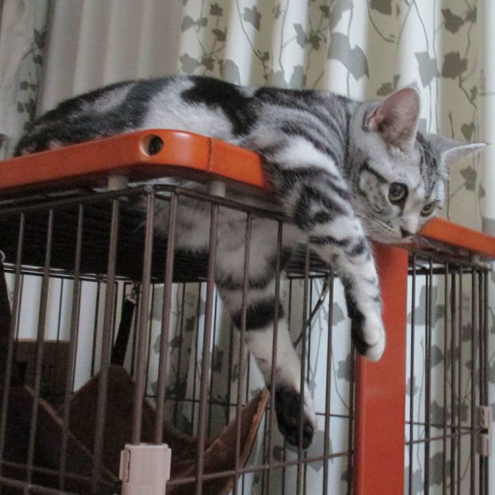 57577965 d618 4e4c b4e9 6ed9b5b57017 1547207808525