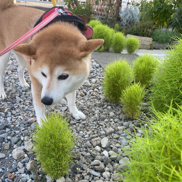 57577c9b 67a0 426d 9b32 fb8bbced9896 1690300969571