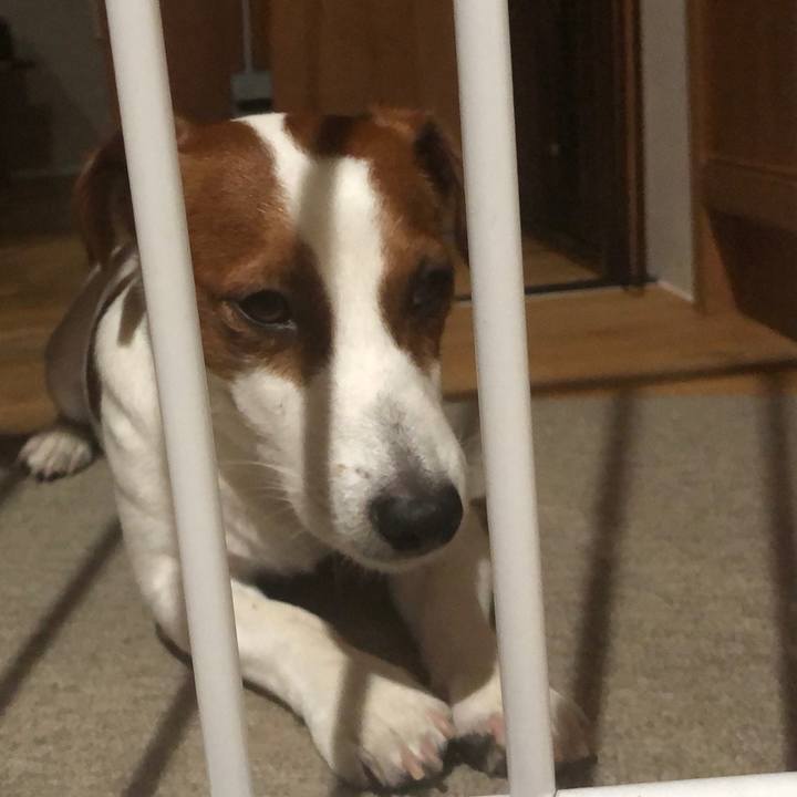 57577cbe db82 46e0 842a 9df088a3e133 1559296949749