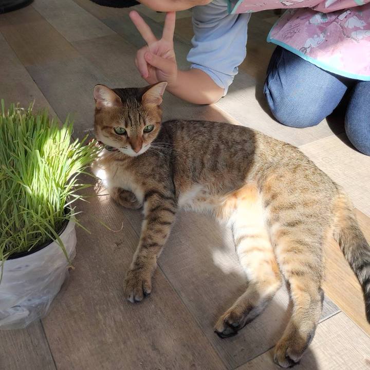 5757a499 beb8 4954 990a 4b5f3186f0a6 1733195959508