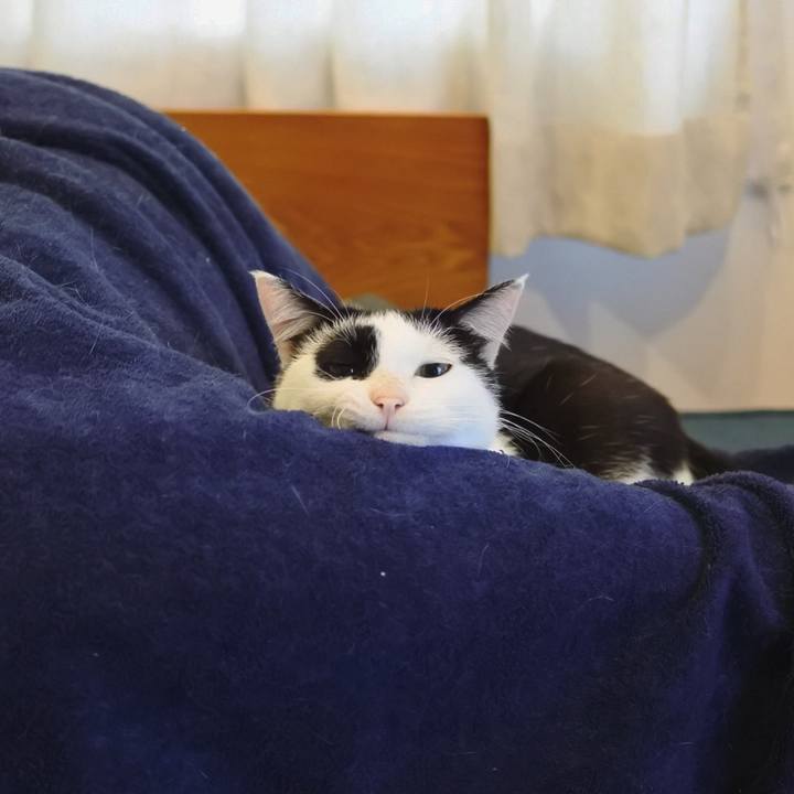 5757aae5 772d 46a0 a6ab 47513deeeb99 1540595106772