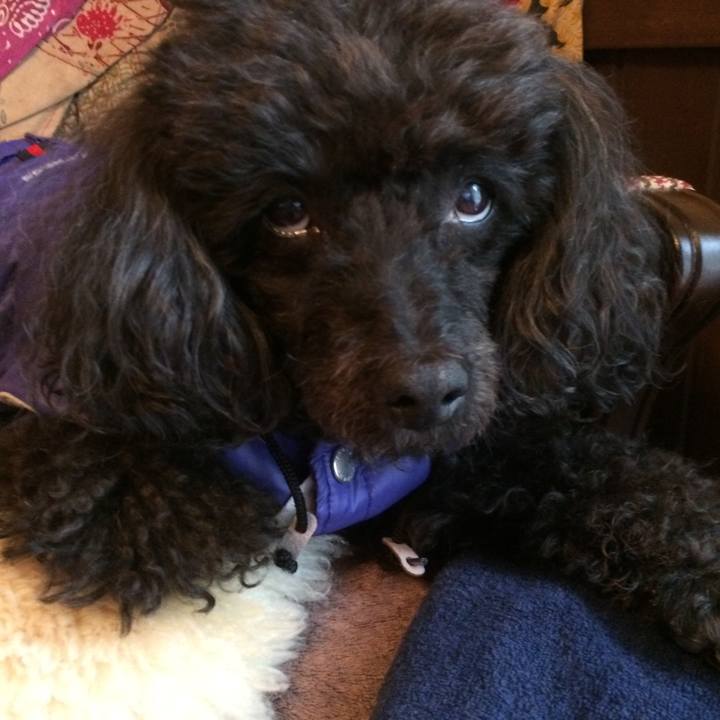 5757ad7d ee09 445d a74a 00229874a2cd 1511133489261