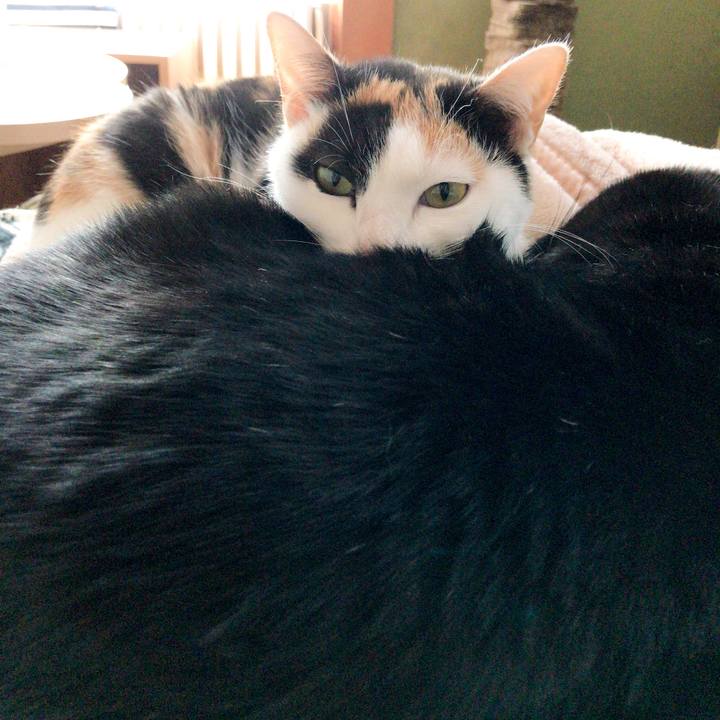 5757b57b 769b 4362 bb56 6b4c25720524 1516287376071