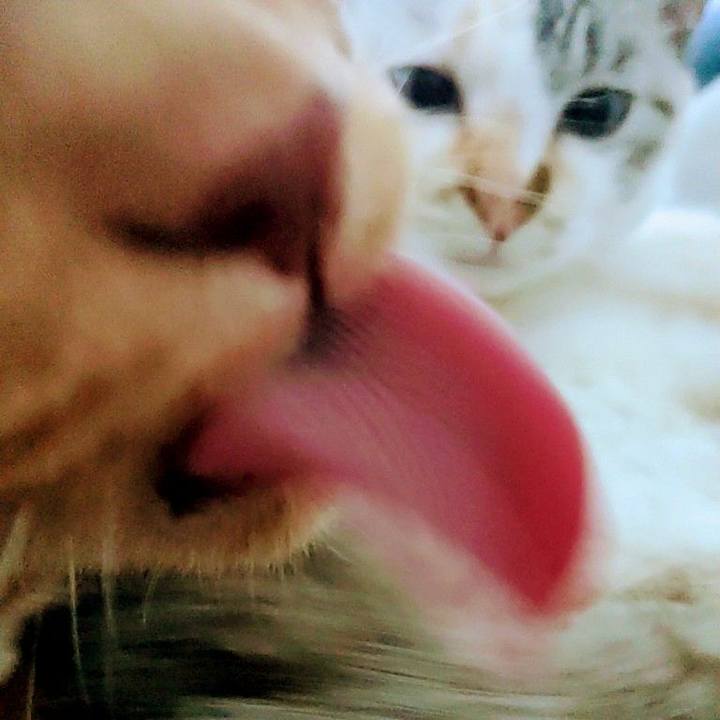 5757c75c b540 4321 9184 2be29d97b108 1740377247891