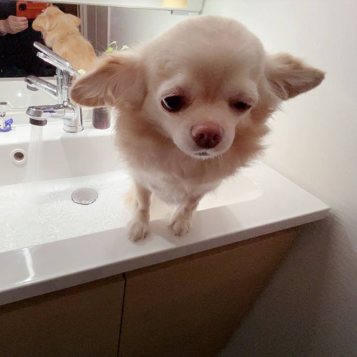 57583809 35a7 4a8d 8298 86c5a76f19af 1752752151406