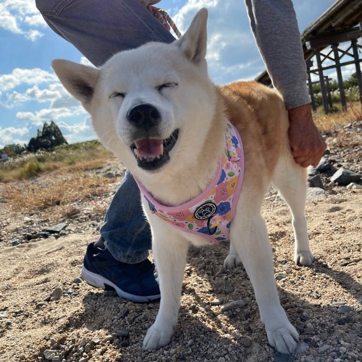 5758875f b24f 4094 baff dceea624c177 1635921030197