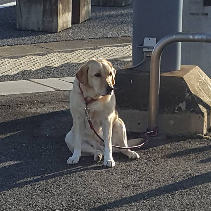 5758960c cfde 4e24 9f5b 87e8fdbd8e9a 1513298770874