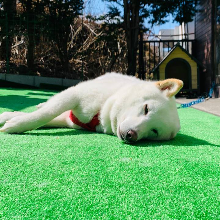 5758a811 5c2a 4a94 a2af ad5ce6f1bc57 1586847587147