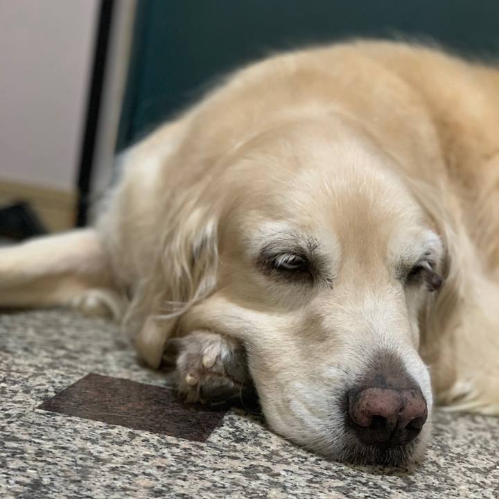 5758d6eb f63a 4ba1 b3d3 5e95672f9a58 1573439899290