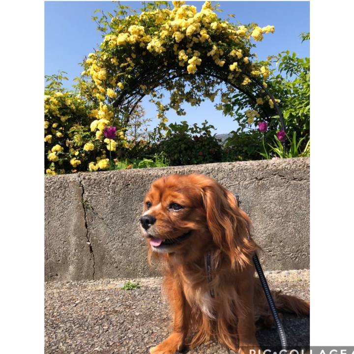 575927c7 d3df 46e2 95a7 ddfb5d9c83a4 1588120604427