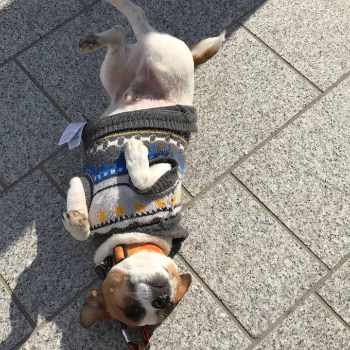 57592891 bbc4 4991 ac21 fb07500bb387 1676894623161