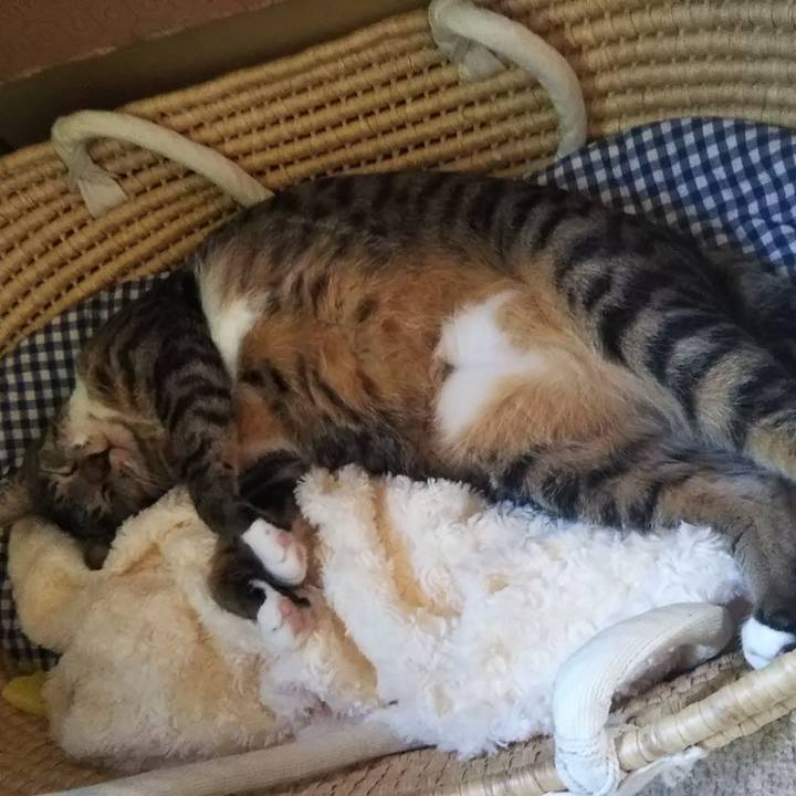 57593c8c 1bb1 4a05 b9c1 1b4b72b46084 1604759041669