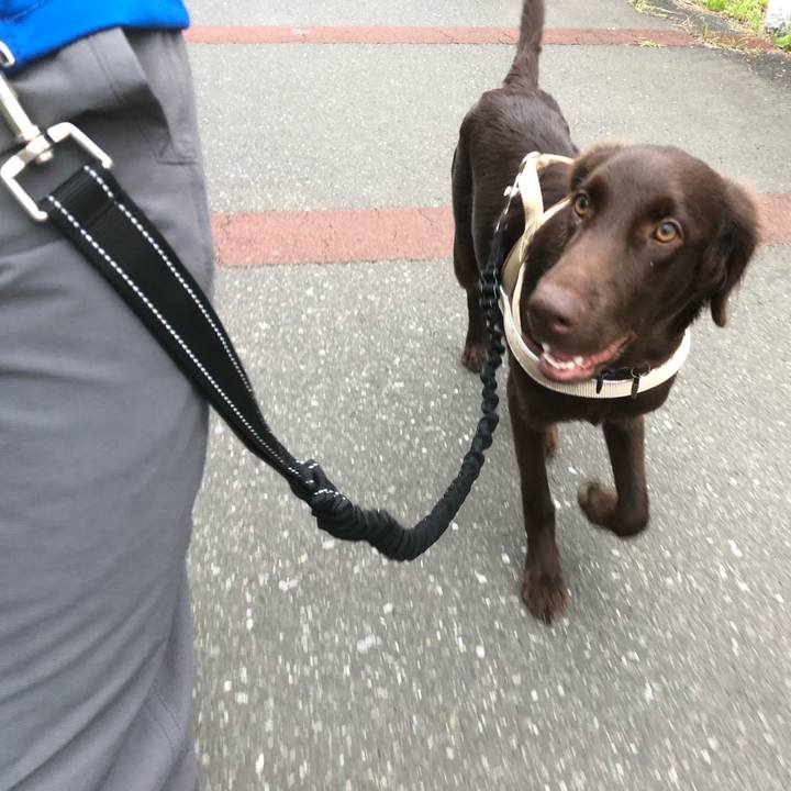 57594a9d 06d1 4a80 aad5 8158e0a1eaf7 1562625666534