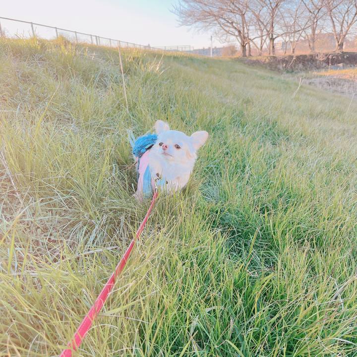 57594dcd 0e26 439e b682 6f1ca7ef262a 1673430823040