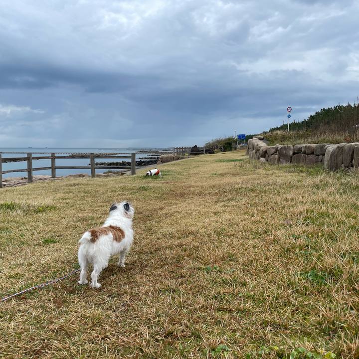 575956c4 0dfe 48be 9a29 a4b8ebcda18f 1667345520966