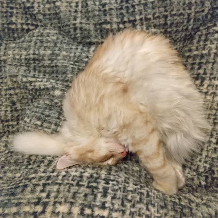 57598e05 3d2f 420c 8710 3bff5884f05d 1608968521359