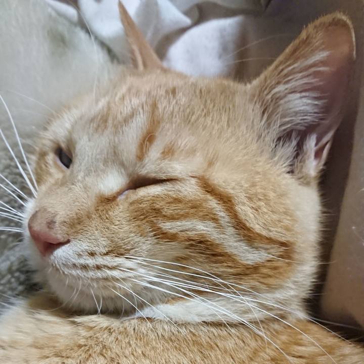 5759a4b7 95a0 431d a0d5 8d2d3ad614f2 1649102682797