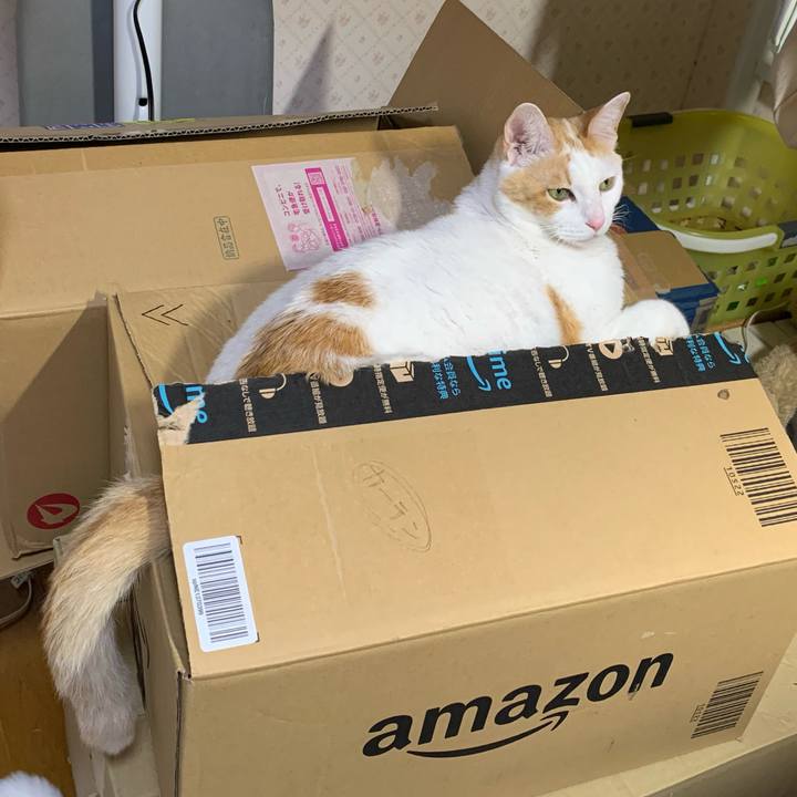 5759ae22 1c89 412a 9cd6 3477594ef59d 1615045497427