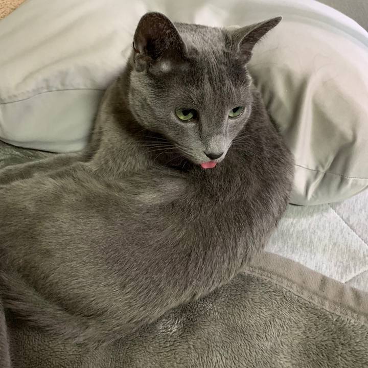 5759b2d9 2b8b 40c4 9fb7 eee2a645d3d0 1641544936552