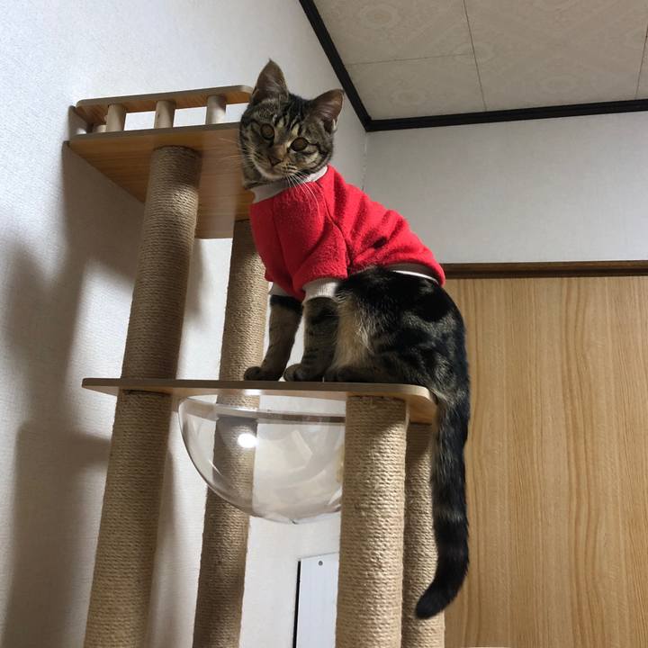 5759c911 70f8 4fa6 97e4 508ace0d10af 1740663867726