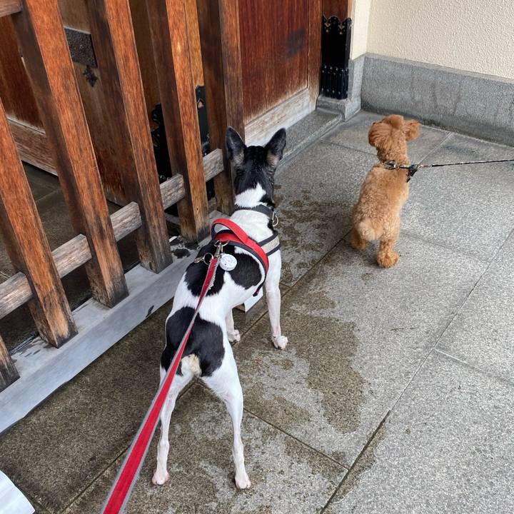 5759cdcf 9633 4e74 aebd d217ee3acc2f 1589679769700