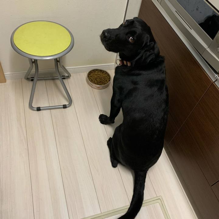 575a15e5 810b 47f7 bcfb 126513b18681 1588503277739