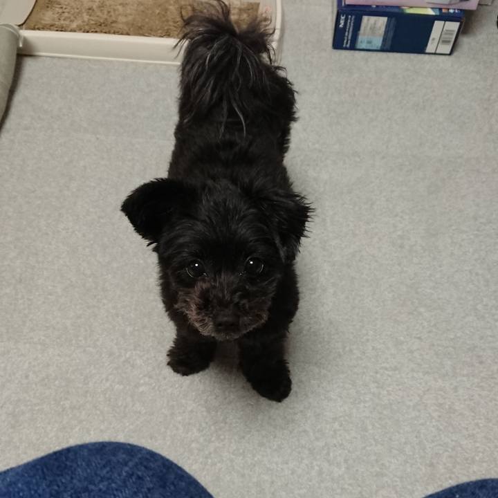 575a2ae3 506a 47d2 84b1 6dc7421be0fb 1511426962999