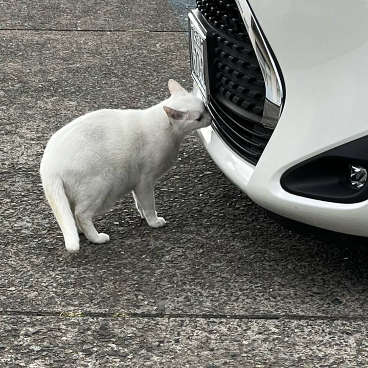 575a2d7a 2dd2 4f6d 9326 41911164572d 1667559616580