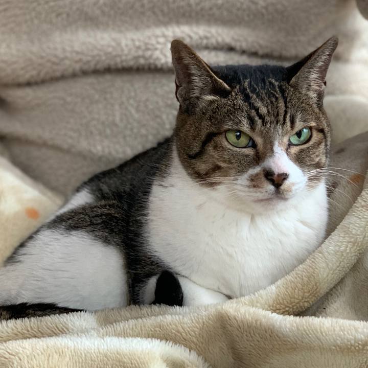 575a2e17 2f45 4c9b 94cd b8c699ca59f4 1577755079498