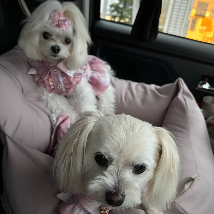 575a35b4 5444 4b7e b4f4 2fa8245efdf6 1760781723486