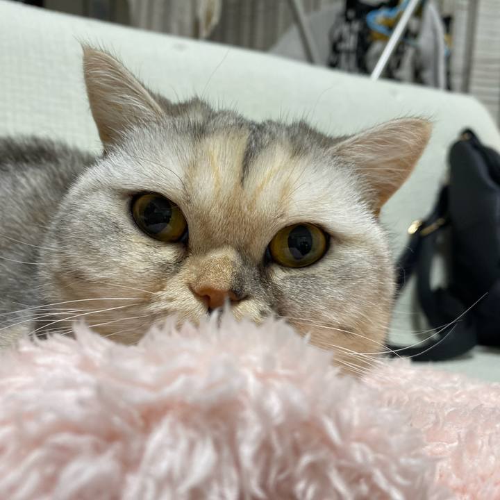 575a40fe ad64 4679 adc9 44f86ffa1e39 1739443183020