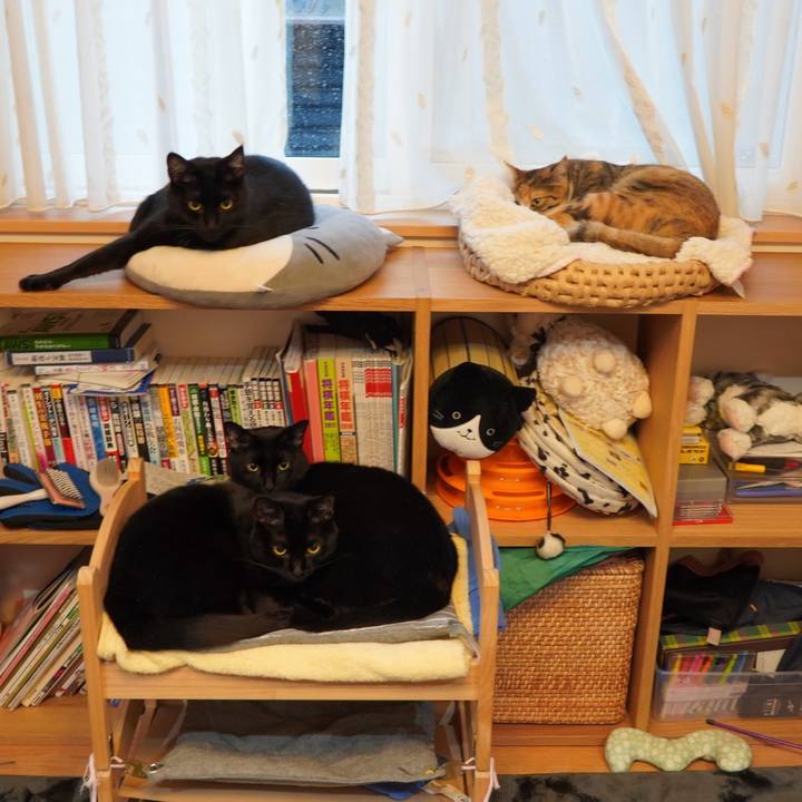 575a5319 1b20 4e7b b45a 1f8d71d0a884 1587307538311