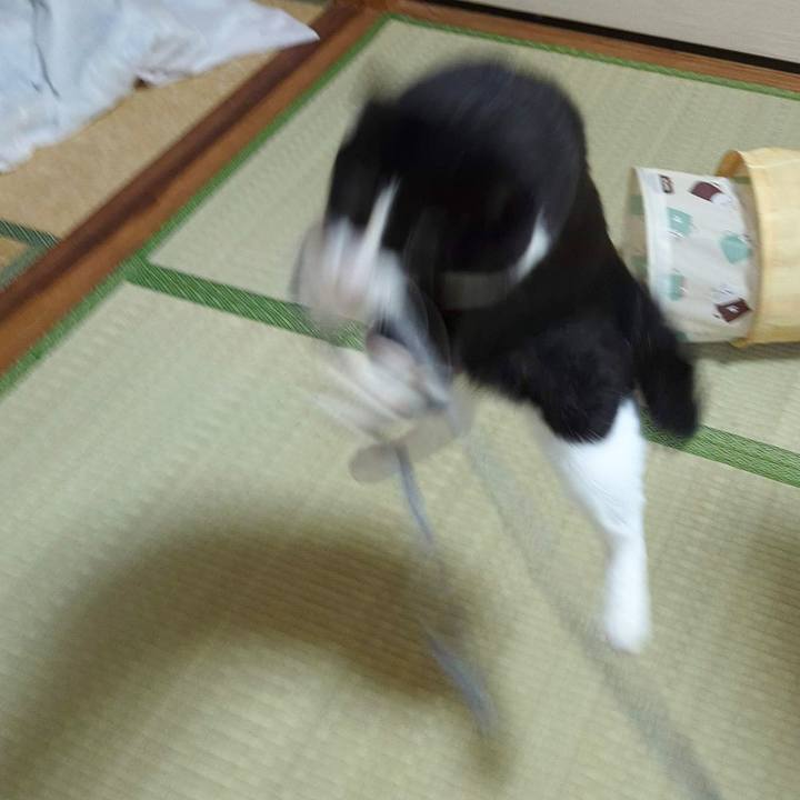 575a78dc f0c0 4fb1 9bde 99944e7578a7 1695874641608